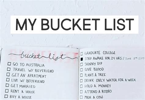 bucket list meaning in urdu with example