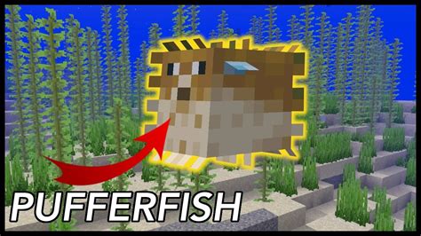 Bucket Of Pufferfish Minecraft Use
