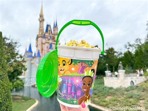 Bucket Popcorn Disney