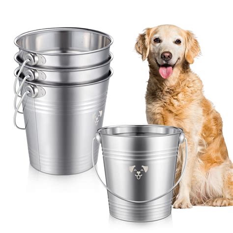 Buckets Water Dog