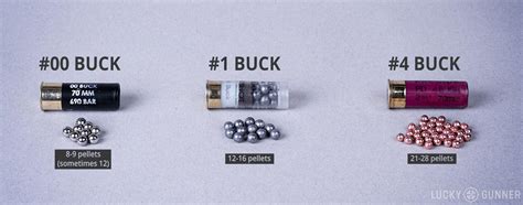 buckshot size and weight