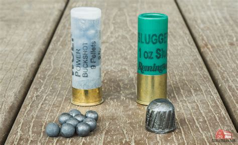 buckshot vs birdshot slug