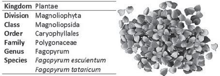 Buckwheat Classification