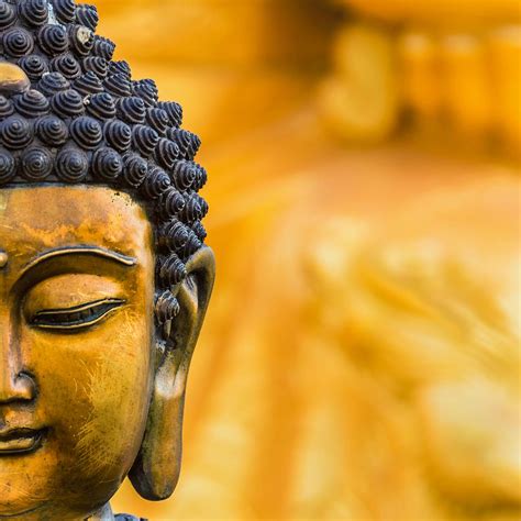 Buddha Statue Wallpapers Top Free Buddha Statue