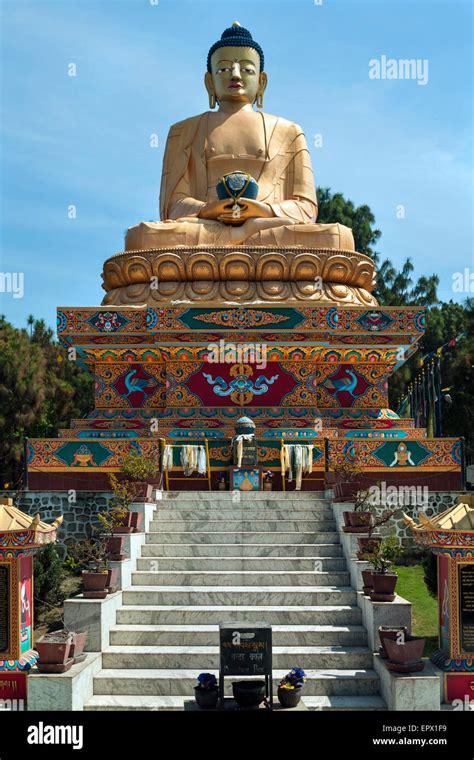 Buddha Statue Nepal