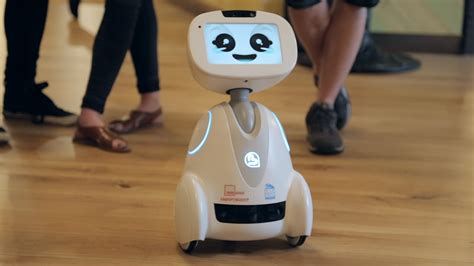 Buddy Security Robot