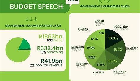 The South African Budget Speech 2024 | Stonehage Fleming