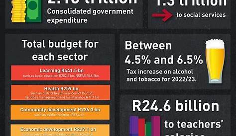 Infographic: A summary of the National Budget Speech 2019 - Alberton