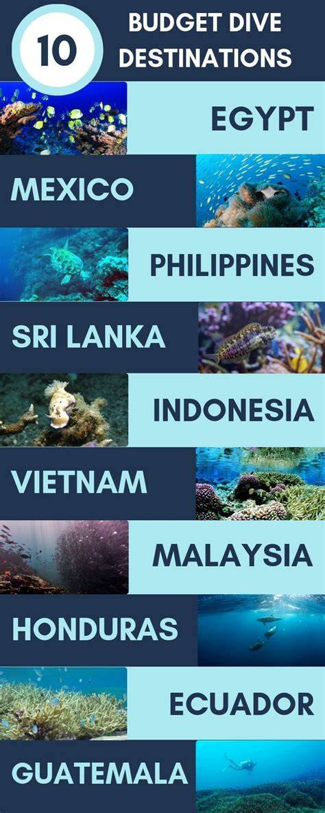budget diving