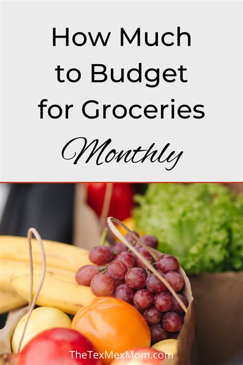 budget for groceries per month
