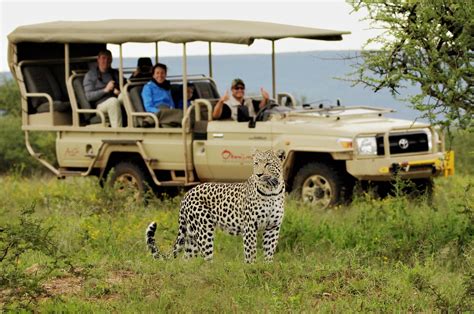 budget travel african safari