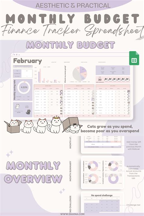 Budget With Cat