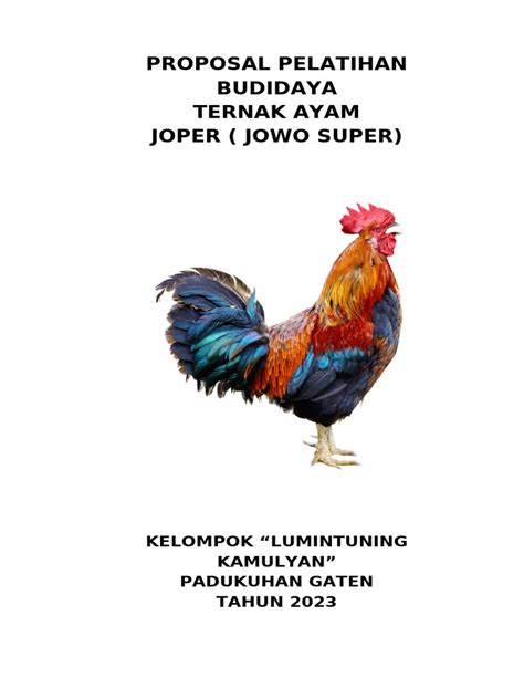 [Update] Harga Ayam Joper Siap Panen Terbaru AyamJoper.ID