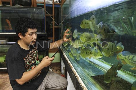 Perikanan Budidaya jadi Sumber Potensial Pertumbuhan Ekonomi Negara