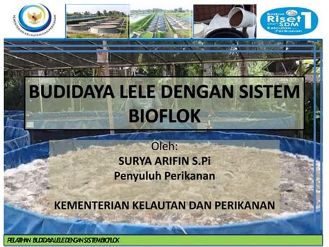 Keunggulan Budidaya Lele Sistem Bioflok Agrozine