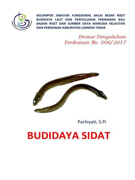 Sukses Budidaya Sidat Praktis dan Menguntungkan LPKS ULILALBAB