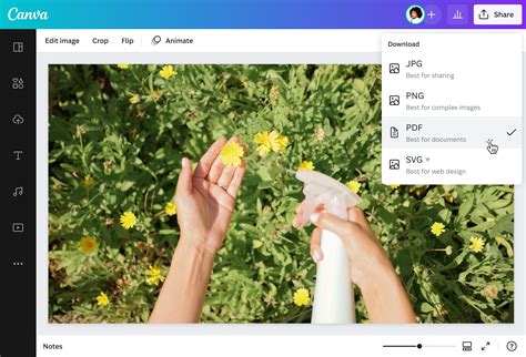 Emily Ratajkowski Accuses Photographer Jonathan Leder of Sexual Assault ·
