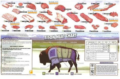 Buffalo Meat Side Effects