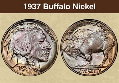Buffalo Nickel Value With Date