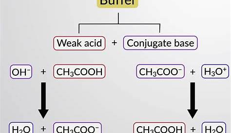 Buffer Solution Examples And Action Chemistry, Class 11