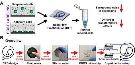 Buffer Exchange Using Centricon