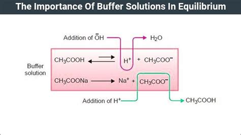 Buffer Solution Equilibrium