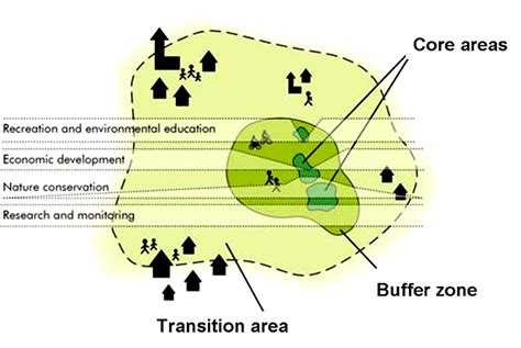 Buffer Zone Diagram