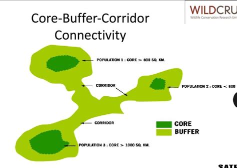 Buffer Zone Meaning In Marathi