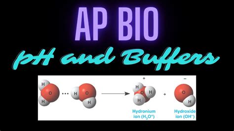 Buffers Ap Bio