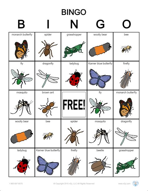 DIY How to Play Bug Bingo REI Coop Journal Bugs, Bingo, Bingo cards