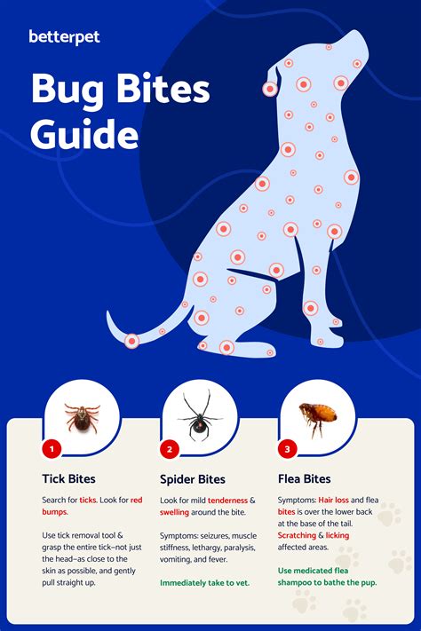 Bug Bite Treatment For Dogs