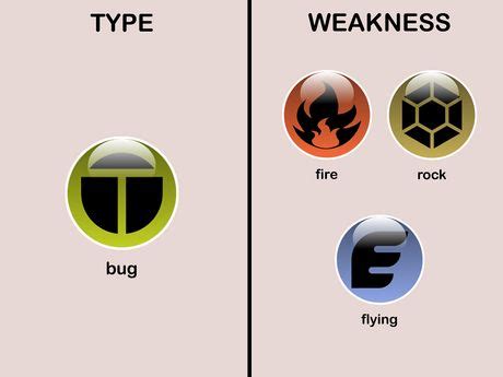 bug flying type weakness