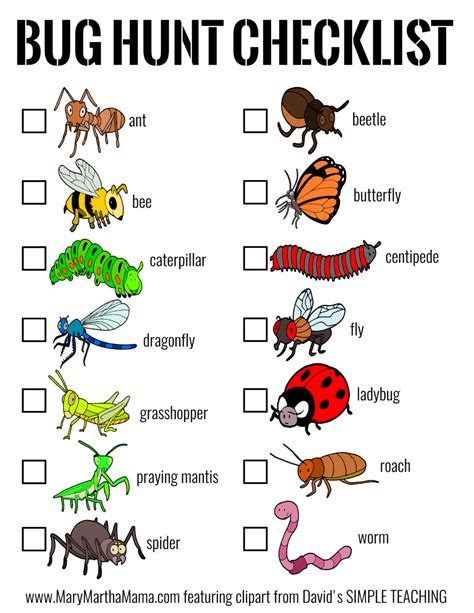 Bug In Checklist