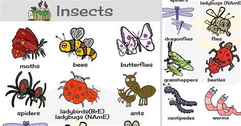 bug meaning in tamil with example sentence