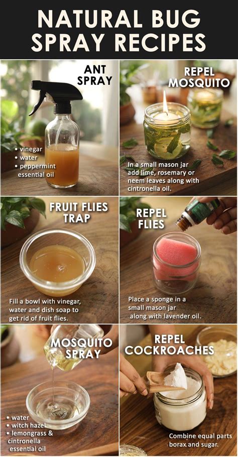 Bug Repellent Ideas