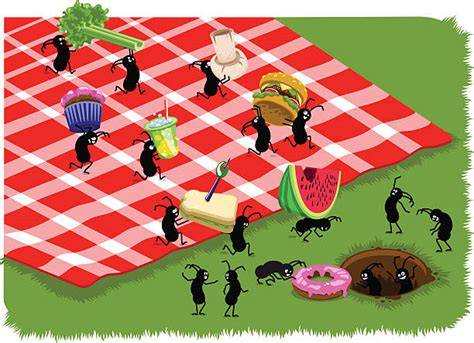 bugs at a picnic