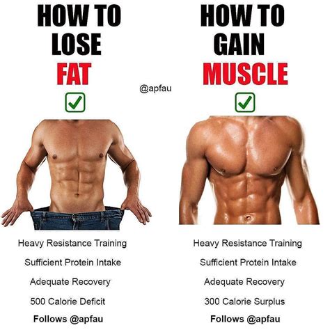 build muscle lose fat