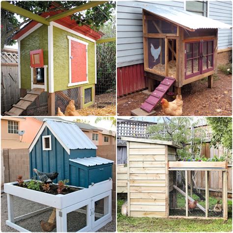 Build Small Chicken Coop