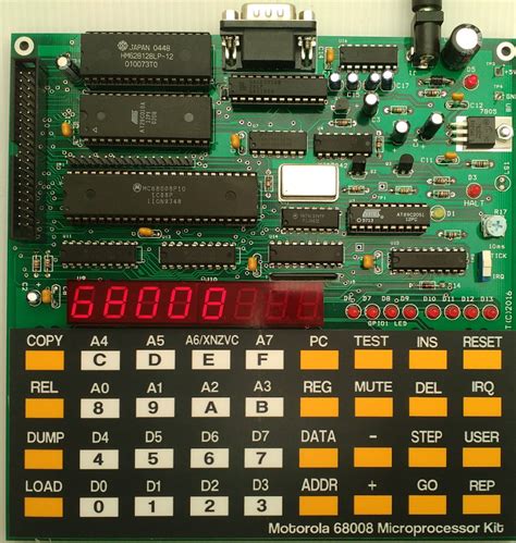 Build Your Own Microcontroller Projects