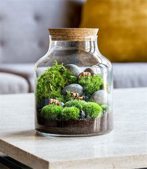 build your own terrariums