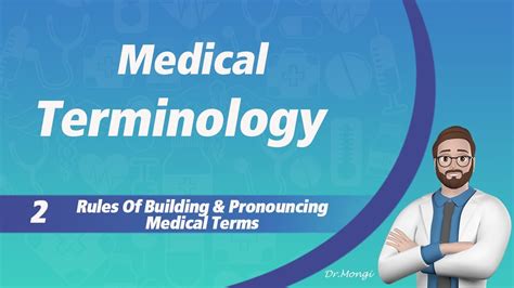 building a medical terminology foundation