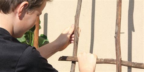 Building A Trellis With Branches