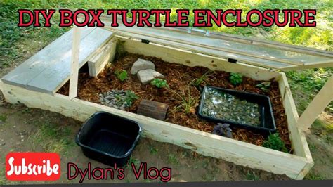 Building A Turtle Enclosure