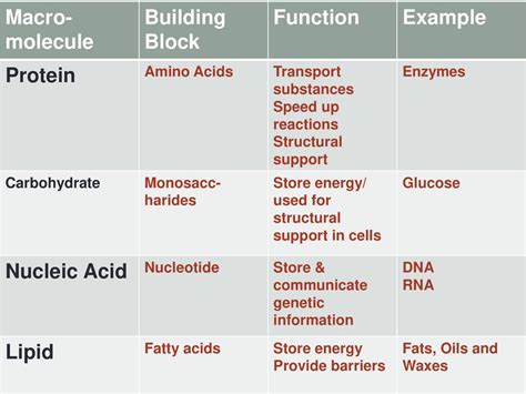 Building Block Function Definition