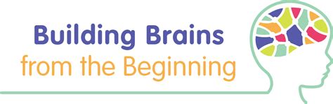 building brains