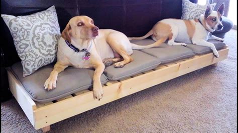 Building Dog Beds