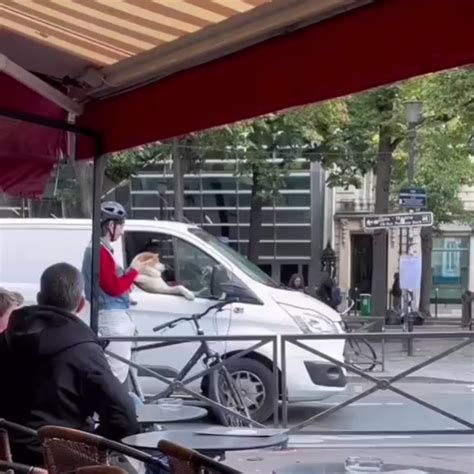 buitengebieden twitter