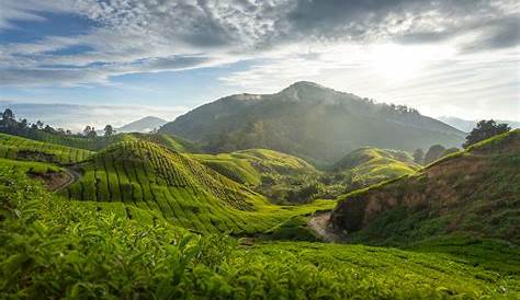KL Sentral to Cameron Highlands Guide (by Train and Bus)