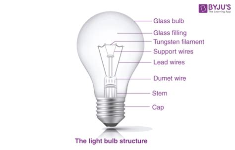 Bulb Definition Simple