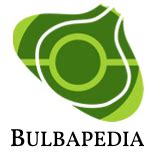 Bulbapedia Crystal Walkthrough